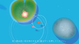 ꡼ No.006 |  Nintendo SwitchָKOIˡפ˥ƥɡeåפۿ