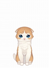 画像ギャラリー No.010のサムネイル画像 / スマホ向け新作アプリ「ねこ島日記」がサービスを開始。パズルを攻略して猫しかいない無人島の謎を解き明かせ