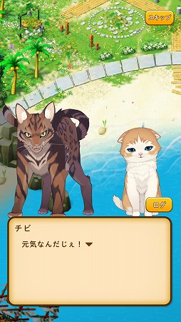 ꡼ No.007 | ǭˤϤޤʤޥå3ѥ֤ͤ ǭ餹ѥ롦פҲ𤹤֡ʤۤܡޥۥ̿1569