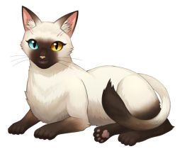 ꡼ No.003Υͥ / ֤ͤפǿͤ٥ȡKOIΤȤ餤󤰤פ