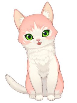 ꡼ No.005Υͥ / ֤ͤפǿͤ٥ȡKOIΤȤ餤󤰤פ