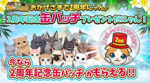 ꡼ No.003 | ֤ͤס2ǯǰ8祭ڡ󤬳