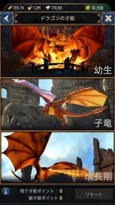 ꡼ No.005 | ֥ࡦ֡󥺡󥯥ȡפ˥ɥ饴о졣ǽ꡼