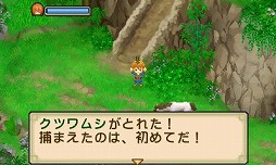 ꡼ No.012 | Ҿʪ դ¼ܡס餫ɤ