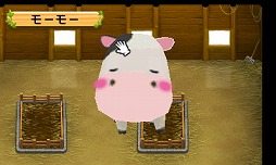 ꡼ No.025 | Ҿʪ դ¼ܡס餫ɤ