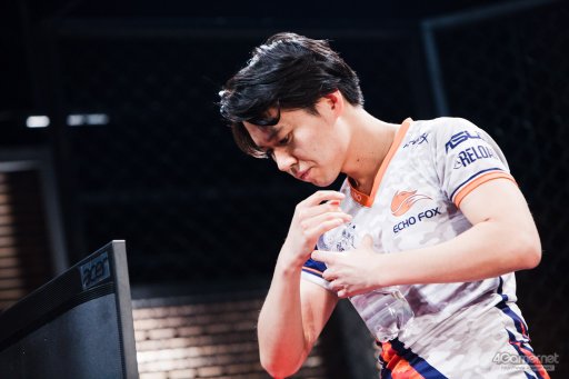 ���������꡼ No.038�Υ���ͥ������ / ͥ���޶�200���ߤϤȤ�������μ�ˡ���RAGE ���ȥ꡼�ȥե��������� ����աץե��ȥ�ݡ���