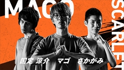 ꡼ No.025Υͥ / ֥ȥ꡼ȥե꡼ powered by RAGEפ22˳롣롼롤ۿ塼ʤɤϤǥå