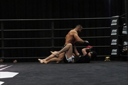 ꡼ No.009Υͥ / ONEޡ륢ġեեץݡȡࡦܥ󤬡ONE STREET FIGHTER ȡ硼󥸡פ