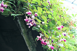 ꡼ No.017Υͥ / 󥬥ݡΥ।٥ȡGameStart Asia 2018ץݡȡޡ䥢˥ե󤬰Ʋ˲񤷡ĶƳڤ