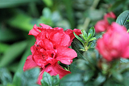 ꡼ No.018Υͥ / 󥬥ݡΥ।٥ȡGameStart Asia 2018ץݡȡޡ䥢˥ե󤬰Ʋ˲񤷡ĶƳڤ