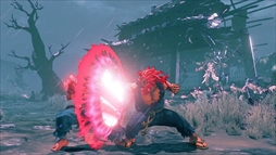 画像ギャラリー No.013のサムネイル画像 / 「ストリートファイターV アーケードエディション」の最新シーズンが発表。新キャラクターの“影ナル者”が本日から参戦