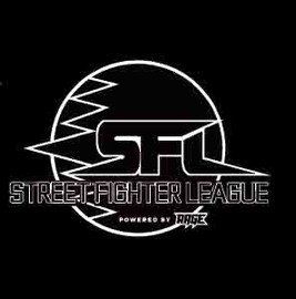 ���������꡼ No.008�Υ���ͥ������ / �֥��ȥ꡼�ȥե��������꡼�� powered by RAGE�ץ����ɥե����ʥ�˰��͵�𤵤󤬽б����