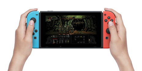 ꡼ No.003Υͥ / Darkest DungeonܸǤȯ89ȷꡣåбNintendo SwitchǤȯ