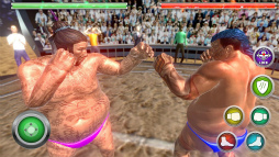 Real Sumo Fighting 2017