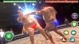 Real Sumo Fighting 2017