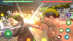 Real Sumo Fighting 2017