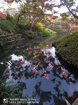 ꡼ No.007 | HuaweiοϥɥޥۡMate 20 ProץƥȥݡȡKirin 980פϥǤճ˲Ŭä