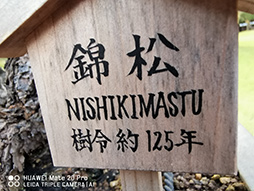 ꡼ No.008 | HuaweiοϥɥޥۡMate 20 ProץƥȥݡȡKirin 980פϥǤճ˲Ŭä