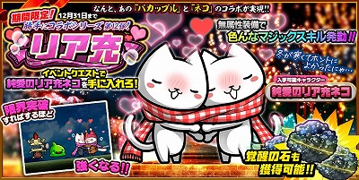 ꡼ No.001 | ֤ܤȥͥסȥꥢɥܤ