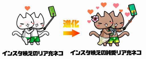 ꡼ No.003 | ֤ܤȥͥפǿ٥ȡȥ󥹥ǤɤšRTڡ»