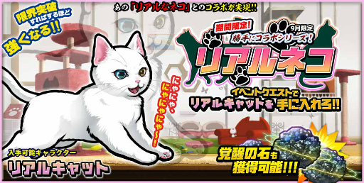 ꡼ No.001 | ֤ܤȥͥסȥꥢͥɤȤΥܥ٥Ȥ