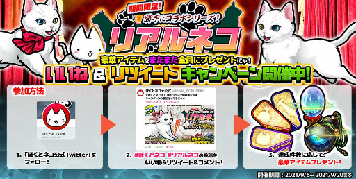 ꡼ No.004 | ֤ܤȥͥסȥꥢͥɤȤΥܥ٥Ȥ