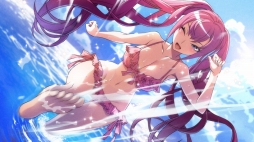 ꡼ No.007 | ֥ɥɡɥפ426ȯꡣ4̡PRȤڤȤץ