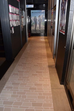 ꡼ No.007 | 饯Ȱ̴ءġġDREAM!ingסߥ饪Ŵ Źܤեȥݡ