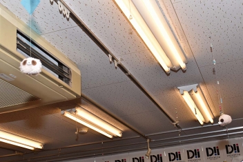 ꡼ No.010 | 塼Ȥ饹Ȥޤʤ˥ᥤȥեåסߡDREAM!ingפˤ륳ܥեݡ