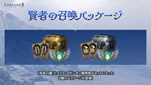 ���������꡼ No.005�Υ���ͥ������ / �֥�͡�����2M�ס�����緿���åץǡ��ȡȥ����˥���I. �ݲ����θ��Ԥ����ɤ�6��9���˼»ܷ��ꡣ���ߥ����Ȥ⥪���ץ�