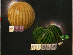 �֥�͡����� 2M�ס����٥�� �쥤�ɡ֥������������������硪�פ�����