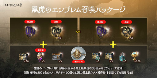 ���������꡼ No.008�Υ���ͥ������ / �֥�͡�����2M�ץ��åץǡ��ȡȥ����˥���IV.���äθ����ɤ����ߥ����Ȥ������ץ�