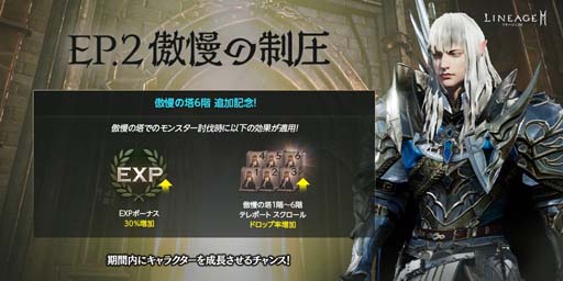 ꡼ No.004 | ֥͡2Mסɥ󥸥6ɲäʤɺǿåץǡȤ»