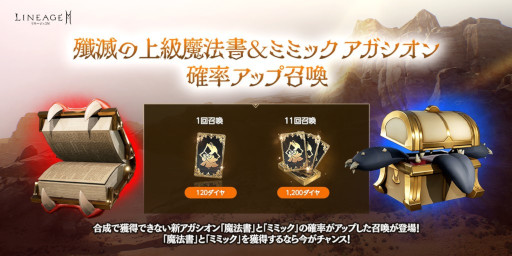 ꡼ No.004 | ֥͡2Mסɥ󥸥7ܥȥꥨɤо