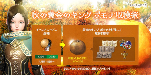 ꡼ No.004 | ֥͡2Mס緿åץǡȡӤ -쥤ԥ-ɤ1019˼»ܤء쥤ԥʤɤо