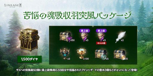 ꡼ No.006 | ֥͡2Mס緿åץǡȡӤ -쥤ԥ-ɤ1019˼»ܤء쥤ԥʤɤо