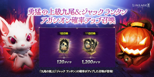 ꡼ No.006 | ֥͡2M׿ͺ饢ȶθѡɡ饢ȷơɤо