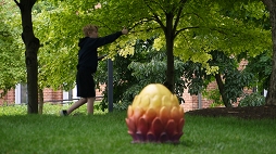 画像ギャラリー No.018のサムネイル画像 / 待望の“ドラゴン”が出現した「ハリー・ポッター:魔法同盟」初の公式リアルイベント「Fan Festival Indianapolis 2019」をレポート