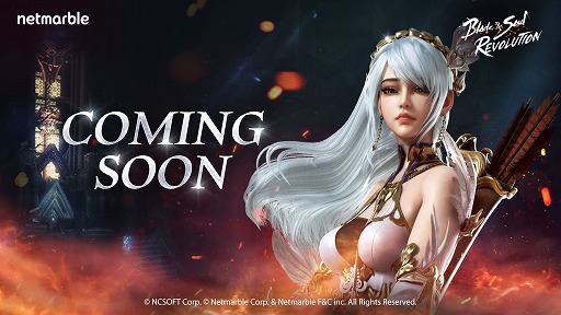 ���������꡼ No.001�Υ���ͥ������ / �֥֥쥤�ɥ���ɥ����� ��ܥ�塼�����ס�8���ۿ����緿���åץǡ��Ⱦ��������������ȡȵ��ջΡɤʤɤο����Ǥ��о�