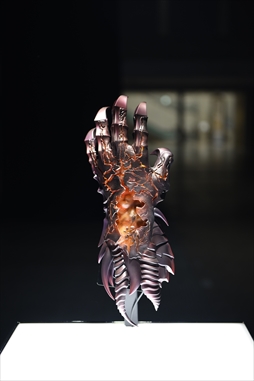 ꡼ No.017 | ֥֥ե2022-2023׳롣Ÿʪ䥢ȥ饯󡤻ƥʡʤɡܥ塼ॢåפ뤲٥Ȳݡ