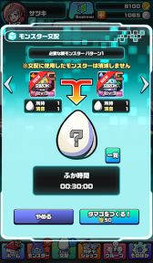 ꡼ No.006Υͥ / ֥ѥסۥ磻ȥǡ٥Ȥ38˥