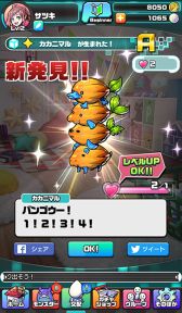 ꡼ No.007Υͥ / ֥ѥסۥ磻ȥǡ٥Ȥ38˥