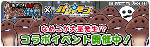 画像ギャラリー No.003のサムネイル画像 / 「パシャ★モン」,「なめこ栽培キット」コラボがスタート。Twitterキャンペーンも実施