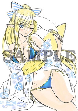 ꡼ No.003 | ֥㥤˥󥰡쥾ʥ ե쥤ͽŵ饹Ȥ