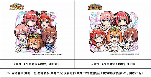 ꡼ No.002 | ֥ȥޥסǲȸʬβֲǡɤȤΥܤ23˥