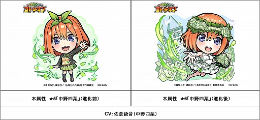 ꡼ No.013 | ֥ȥޥסǲȸʬβֲǡɤȤΥܤ23˥