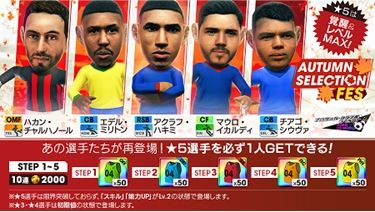 ���������꡼ No.002�Υ���ͥ������ / �֥ץ����å�������֤�Ĥ������� �����ɡ��ȥ������ɡפ�AUTUMN SELECTION FES����