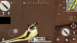 ꡼ No.011 | PRֹۡưΥץåϤ͵ݥåȤϷʪ̩ɡë¡ոʤɤμԻ