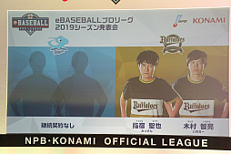 画像ギャラリー No.017のサムネイル画像 / 「eBASEBALLプロリーグ」2019シーズン発表会をレポート。大会のスケジュールに加え,レジェンドOB参戦などの変更点などが発表に