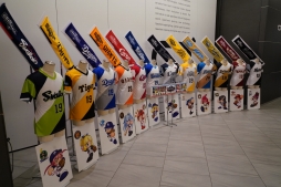 ꡼ No.019 | ѥץΥ꡼eBASEBALL ץ꡼2019פΥɥեȲĤݡȡץOBޥåȤ̿ĩ